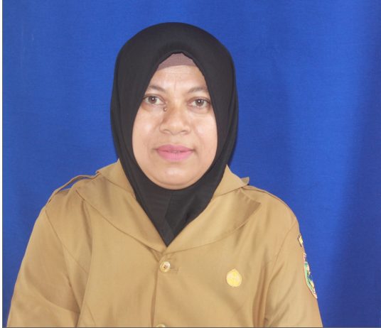 NUR LAELA